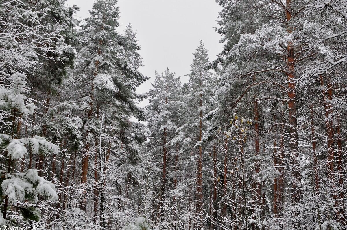 Участок 11.1 сот. в охраняемом поселке