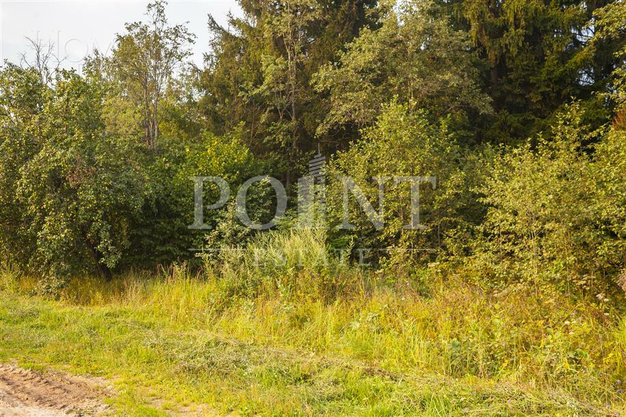 Участок 628 сот.