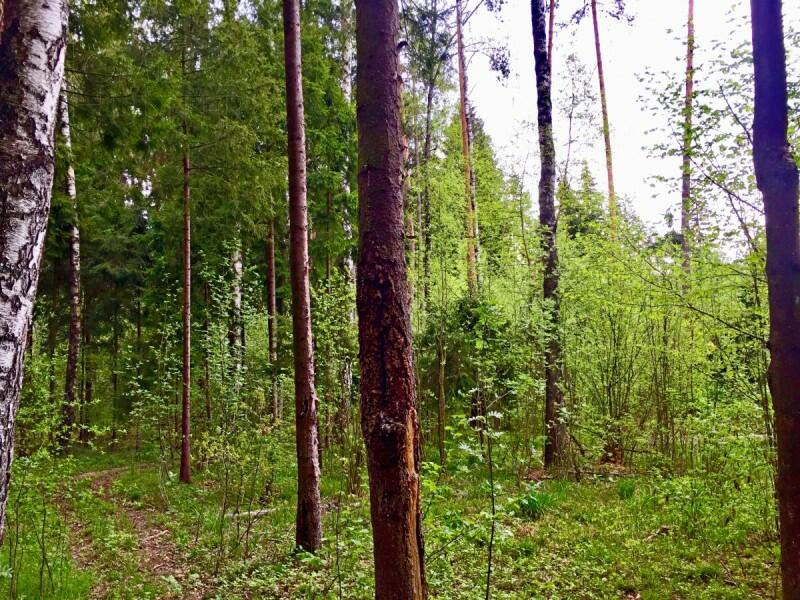 Участок 24 сот. в охраняемом поселке