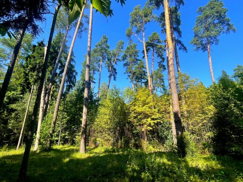 Участок 24 сот. в охраняемом поселке