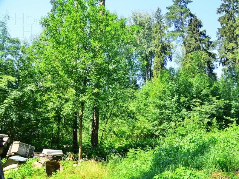 Участок 24 сот. в охраняемом поселке