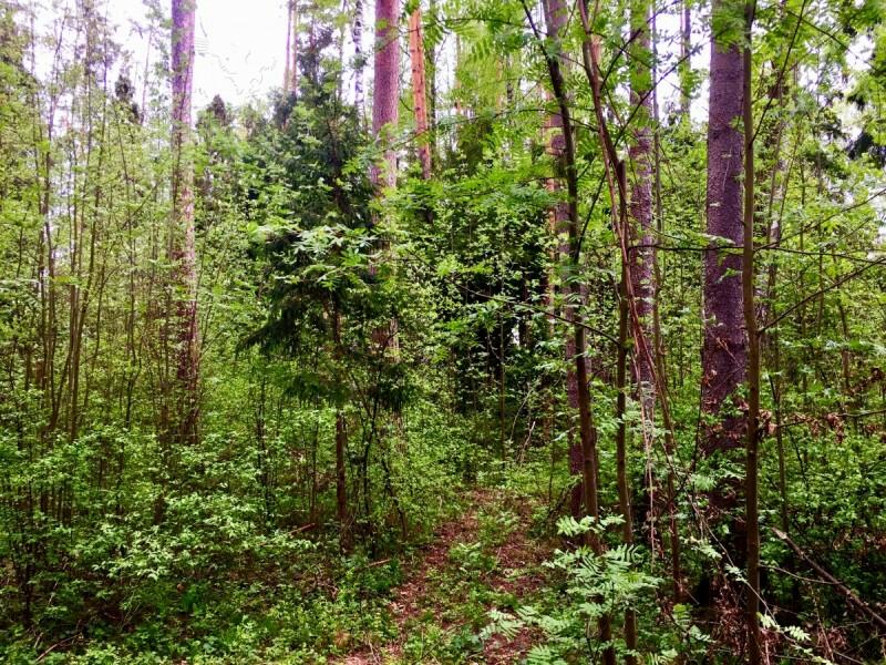 Участок 24 сот. в охраняемом поселке