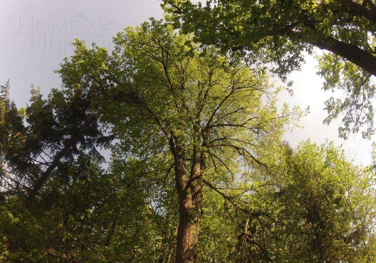 Участок 100 сот. в охраняемом поселке