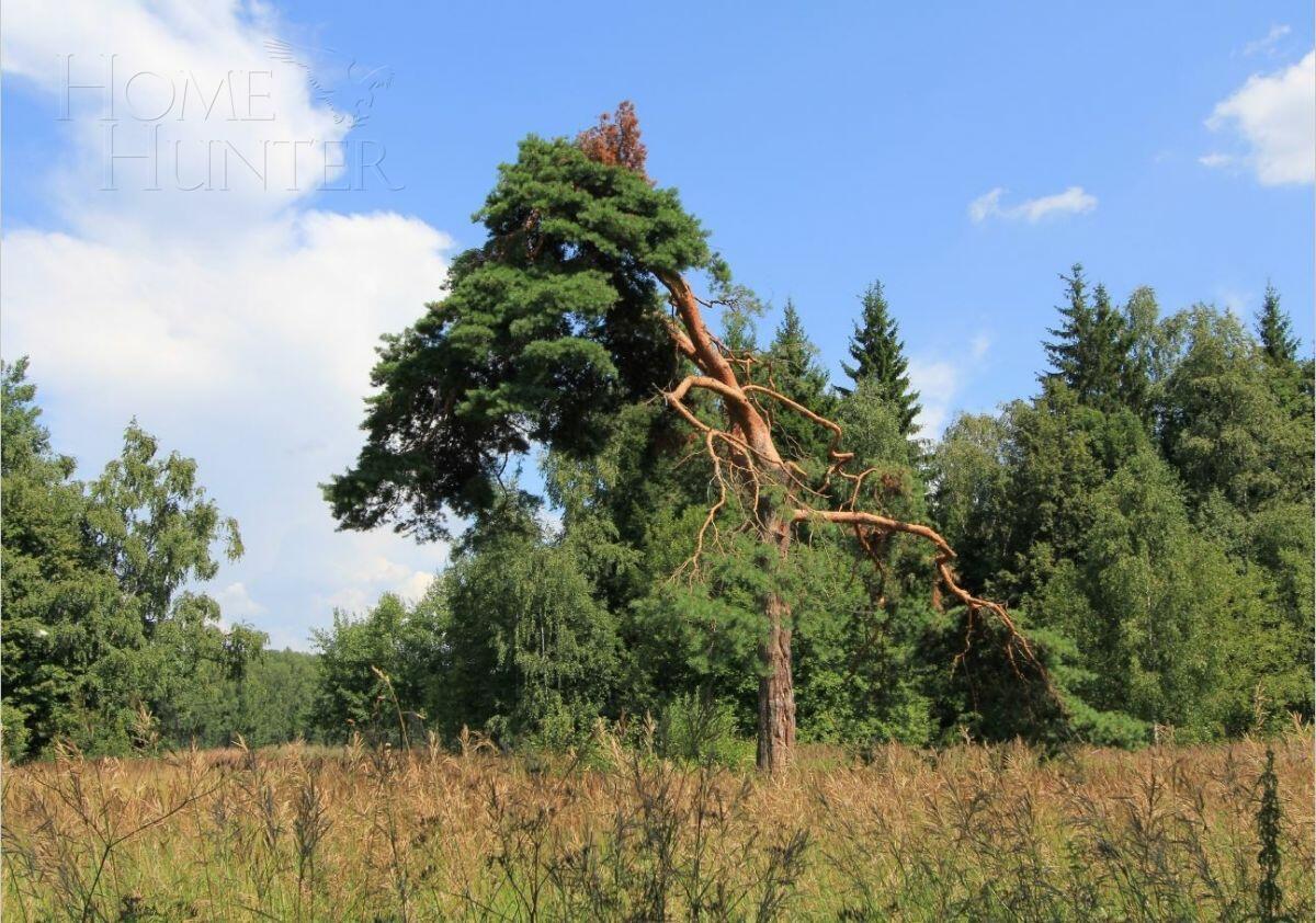 Участок 100 сот. в охраняемом поселке