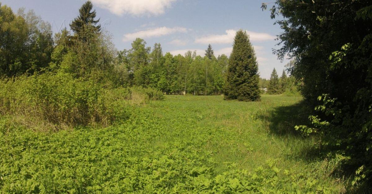 Участок 100 сот. в охраняемом поселке