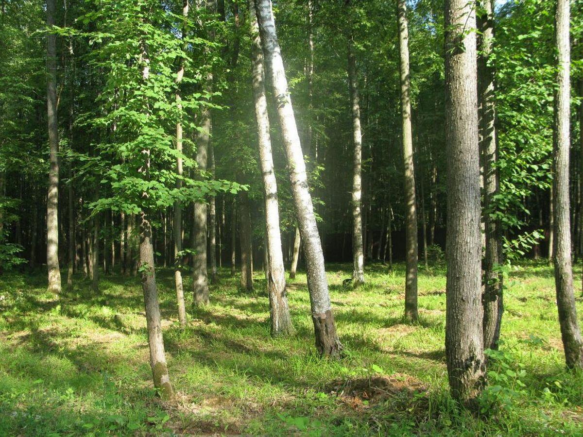 Участок 18 сот.