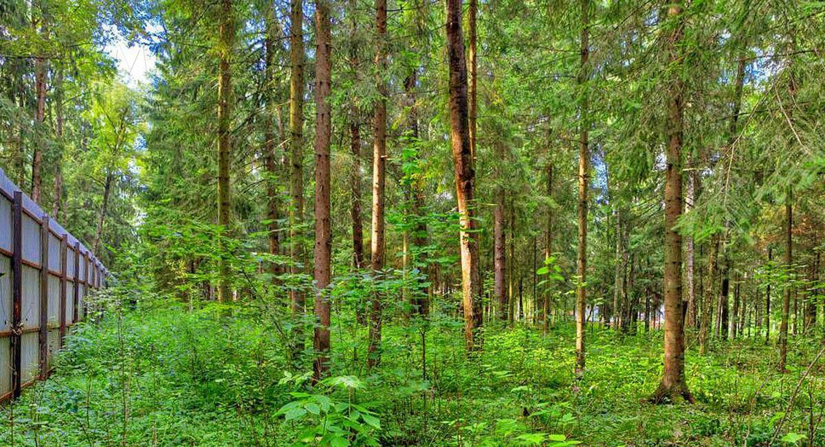 Участок 18 сот.