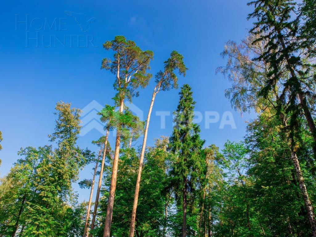 Участок 30 сот. в охраняемом поселке