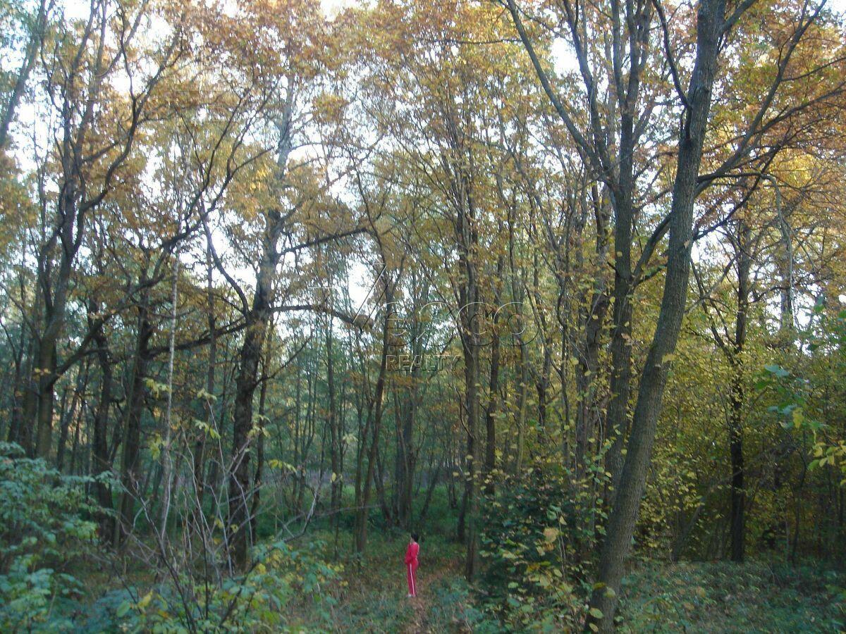 Участок 177 сот. в охраняемом поселке