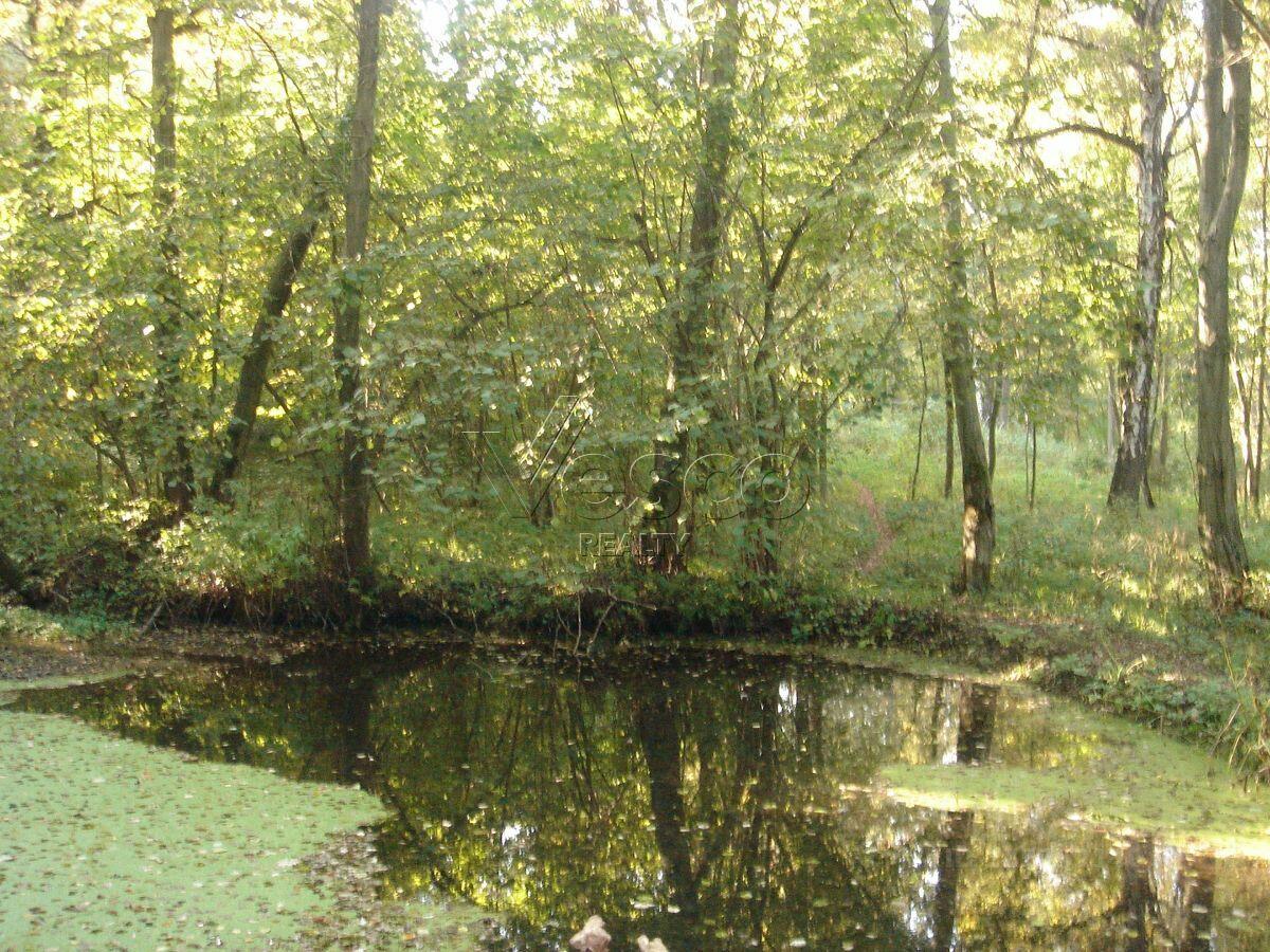 Участок 177 сот. в охраняемом поселке