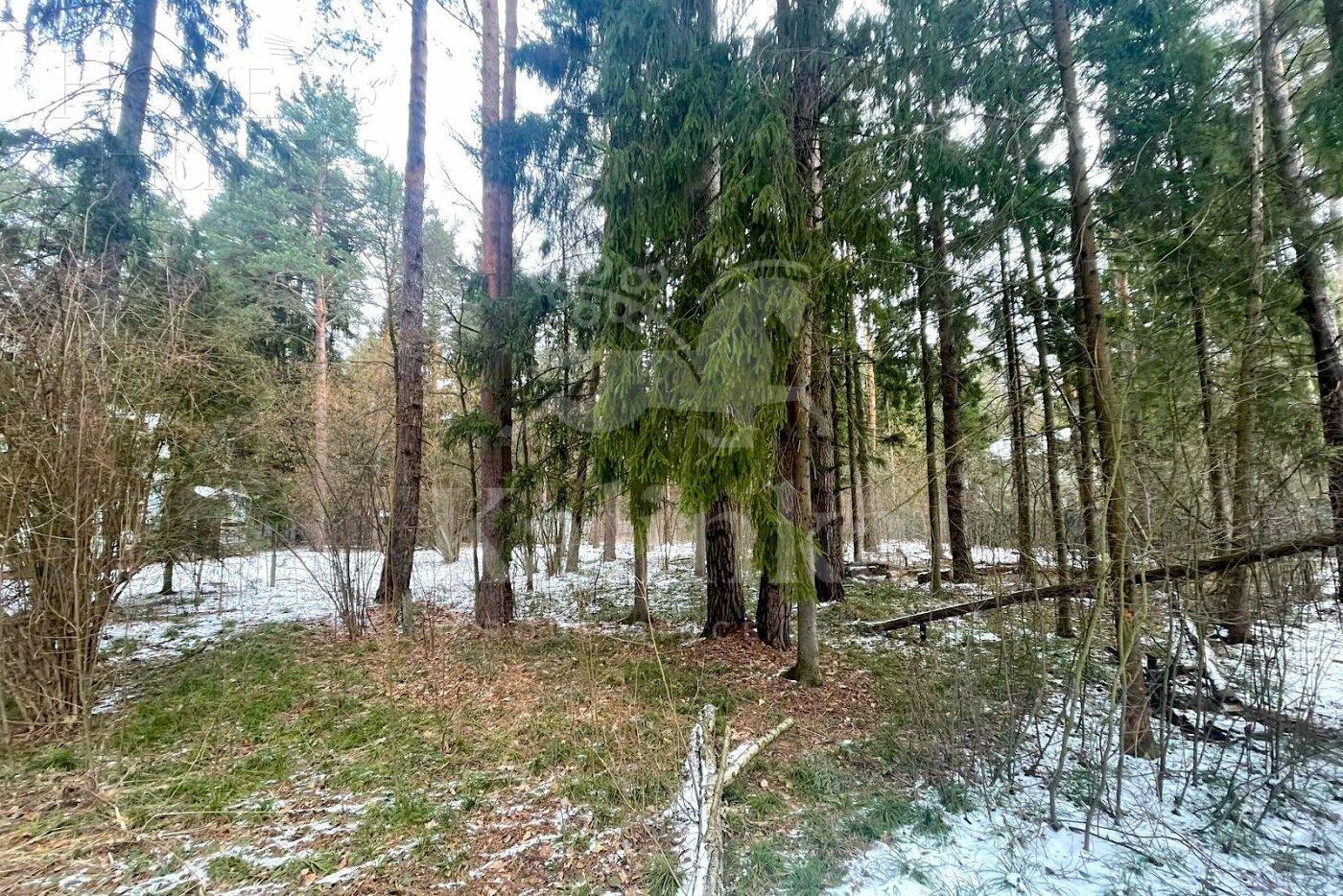 Участок 55 сот. в охраняемом поселке