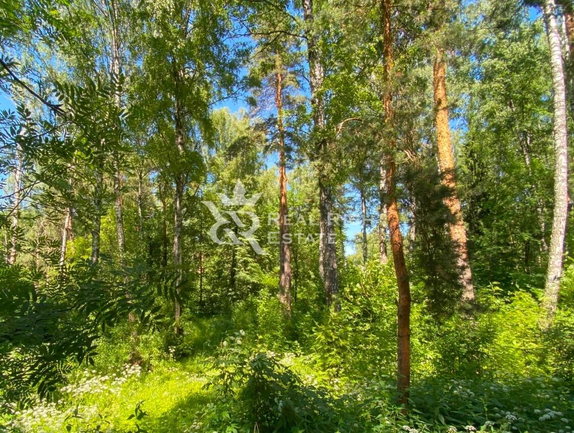 Участок 50 сот. в охраняемом поселке