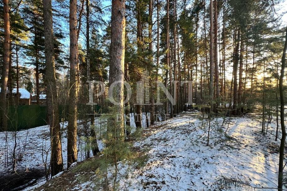 Участок 43 сот.