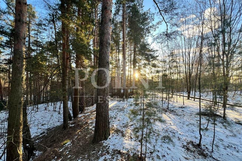 Участок 43 сот.