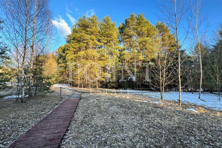 Участок 43 сот.