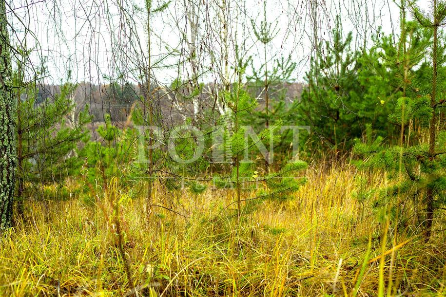 Участок 15.94 сот.