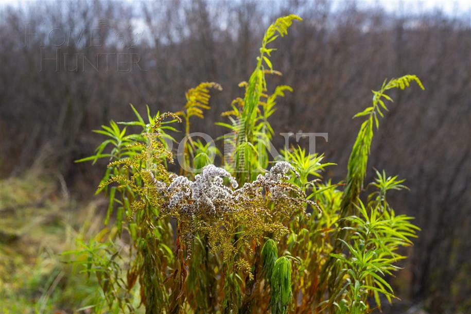 Участок 23.56 сот.
