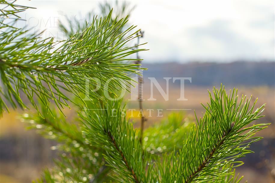 Участок 24.04 сот.