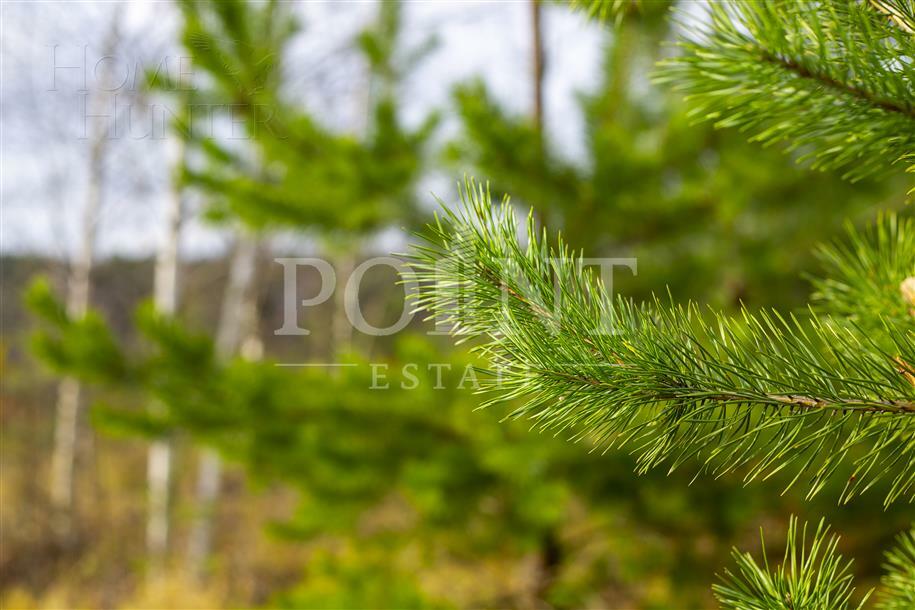 Участок 24.04 сот.