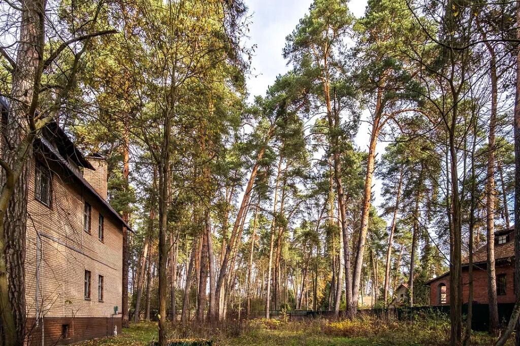 Участок 53 сот. в охраняемом поселке