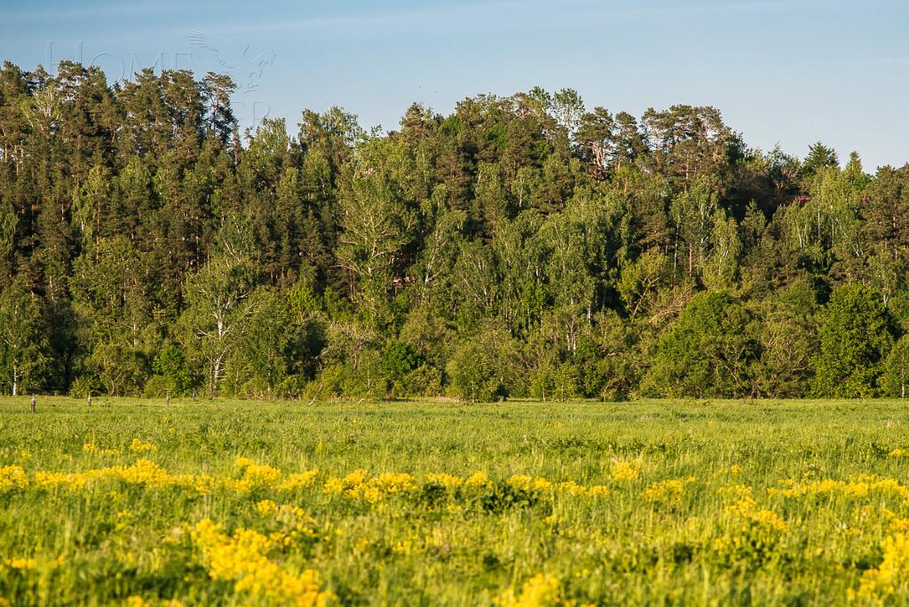 Участок 37 сот. в охраняемом поселке