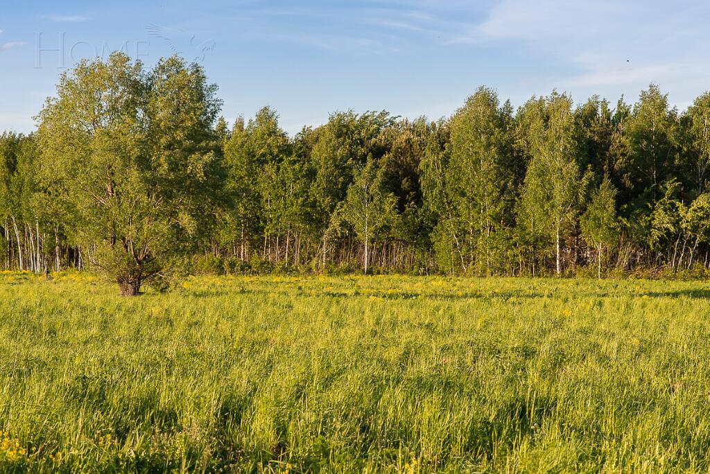 Участок 37 сот. в охраняемом поселке