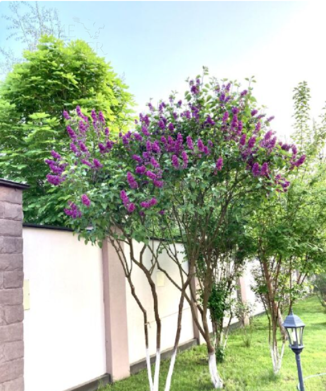 2-этажный коттедж 438 м² с отделкой