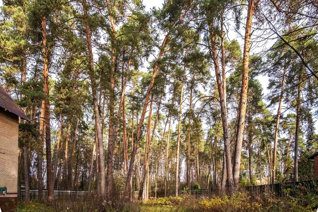 Участок 53 сот. в охраняемом поселке