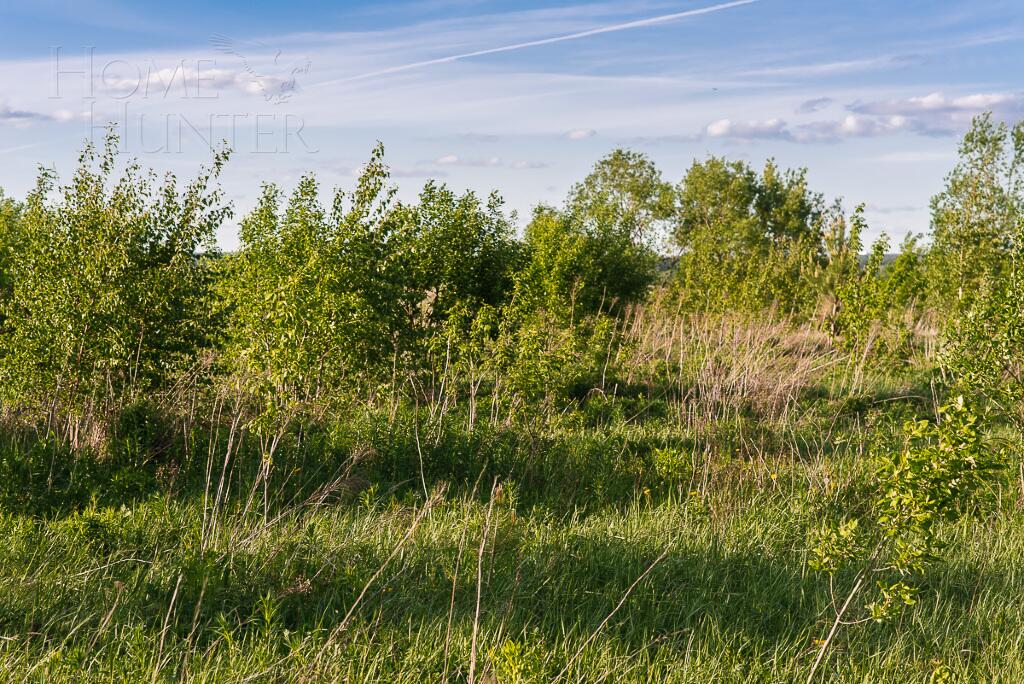 Участок 74 сот. в охраняемом поселке