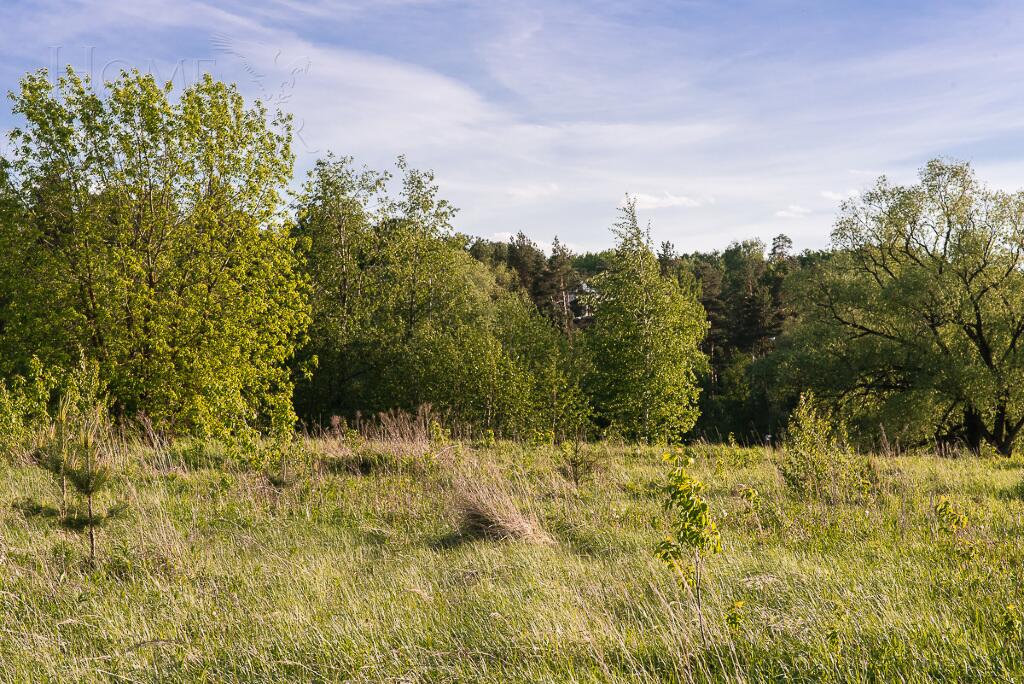 Участок 25 сот. в охраняемом поселке