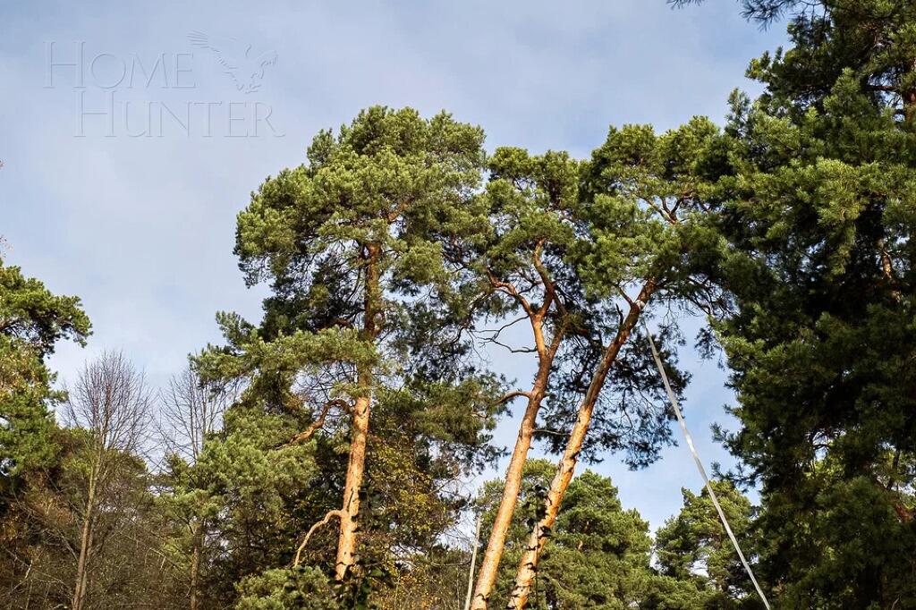 Участок 53 сот. в охраняемом поселке