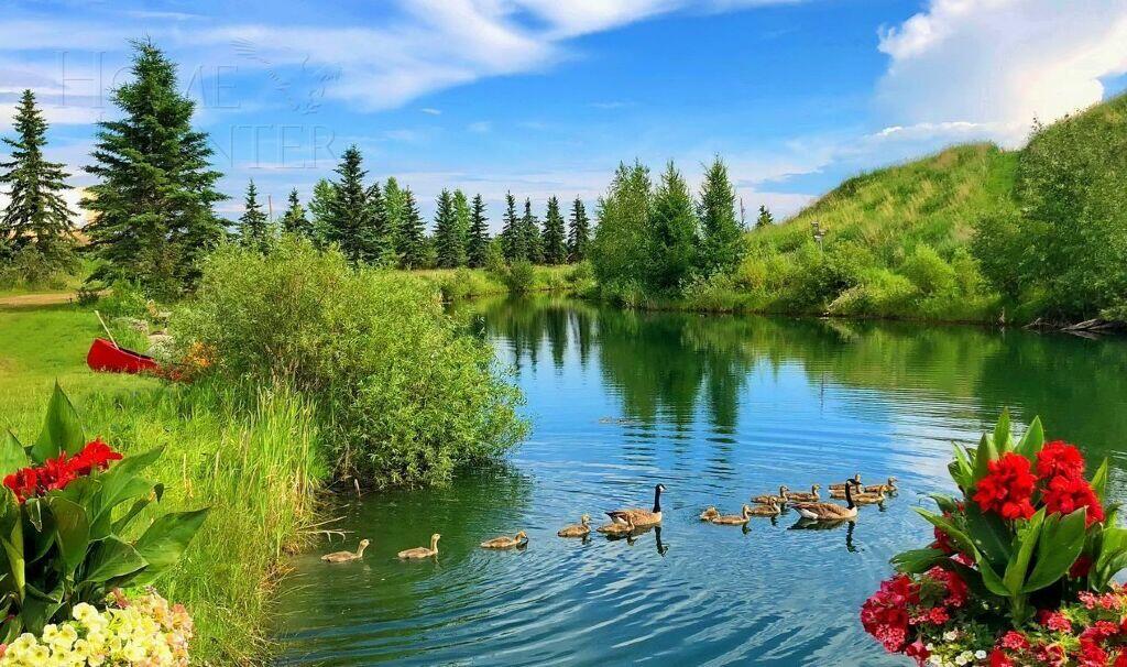 Участок 42 сот.