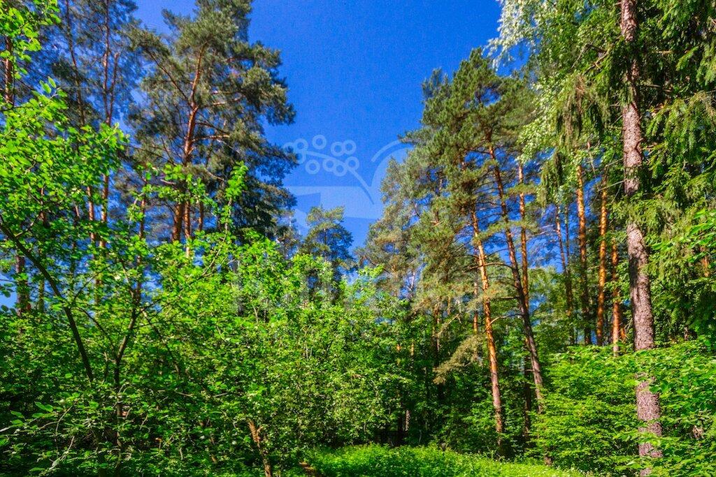 Участок 37.63 сот. в охраняемом поселке