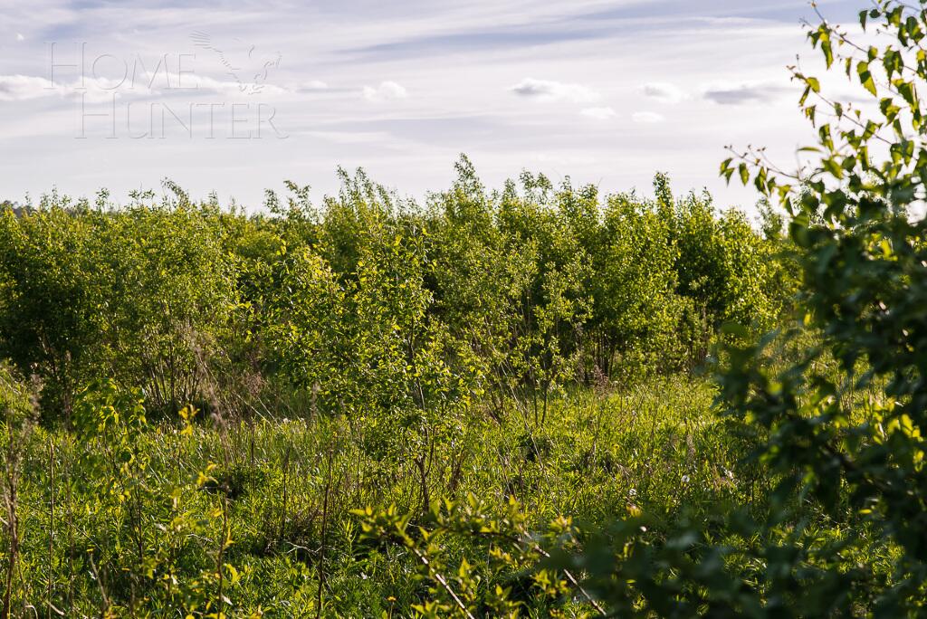 Участок 74 сот. в охраняемом поселке