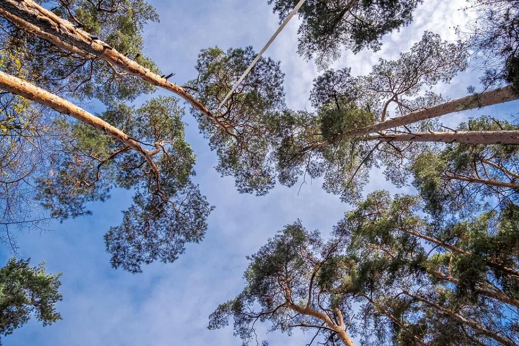 Участок 53 сот. в охраняемом поселке