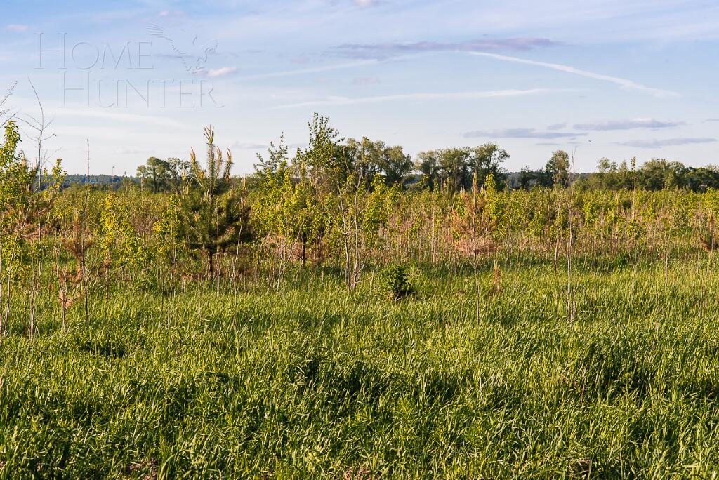 Участок 14.8 сот. в охраняемом поселке