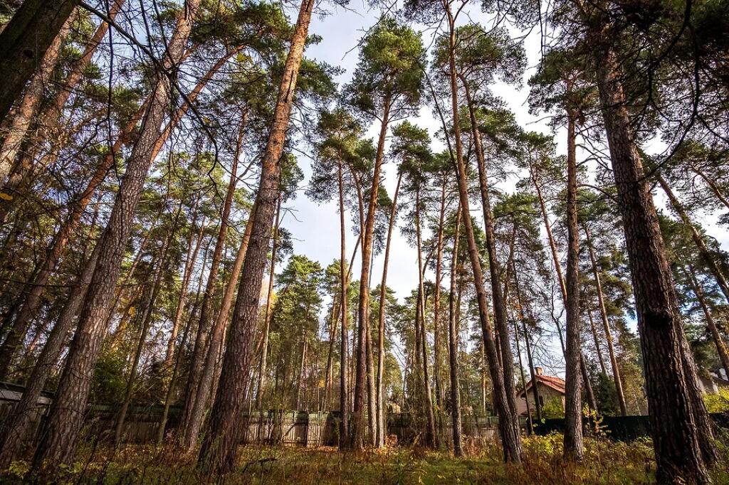 Участок 53 сот. в охраняемом поселке