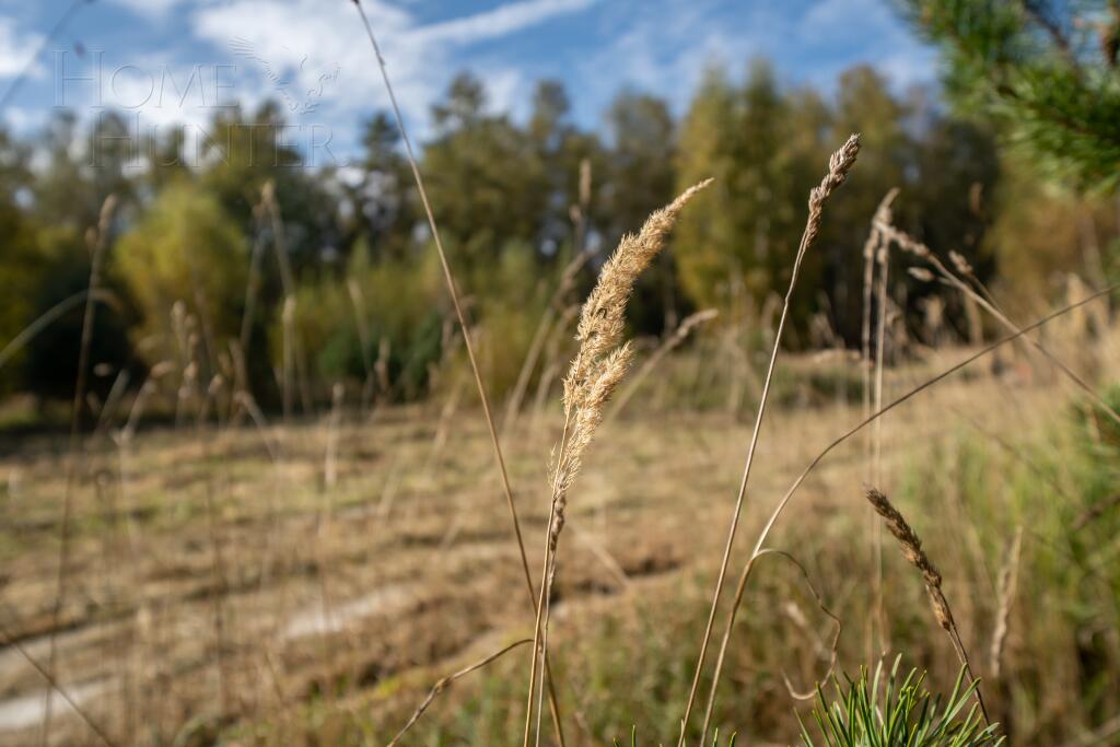 Участок 8 сот. в охраняемом поселке
