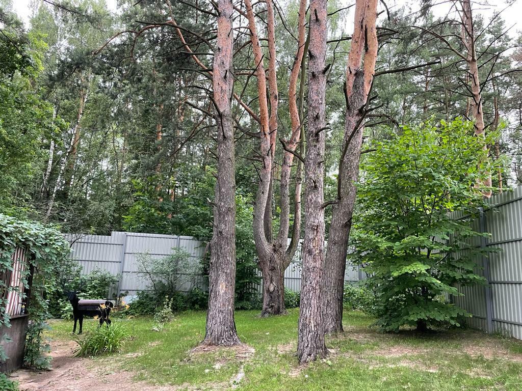 2-этажный коттедж 452 м² с отделкой