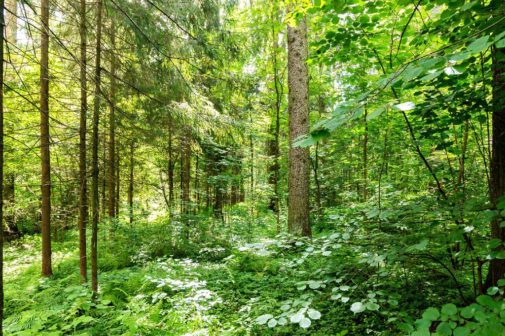 2-этажный коттедж 710 м² без отделки