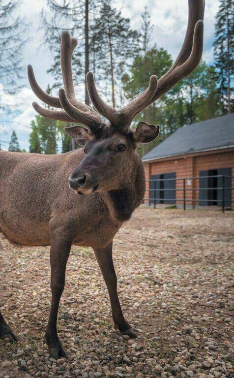 2-этажный коттедж 550 м² с отделкой