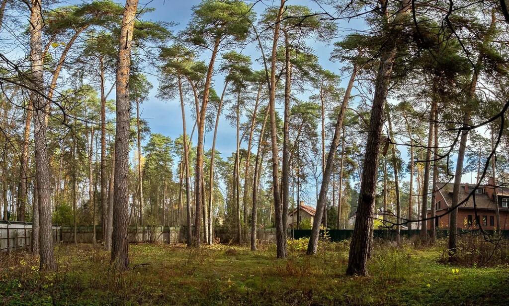 Участок 53 сот. в охраняемом поселке