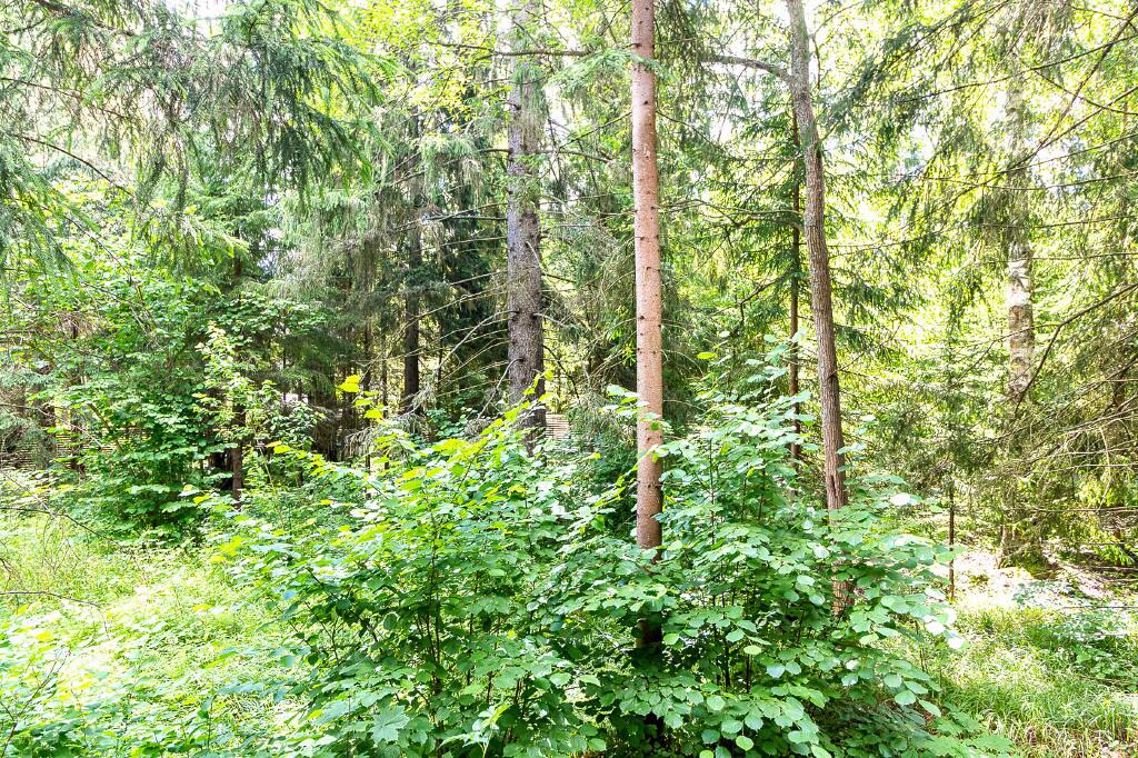 2-этажный коттедж 550 м² без отделки