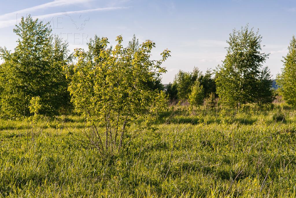 Участок 33 сот.