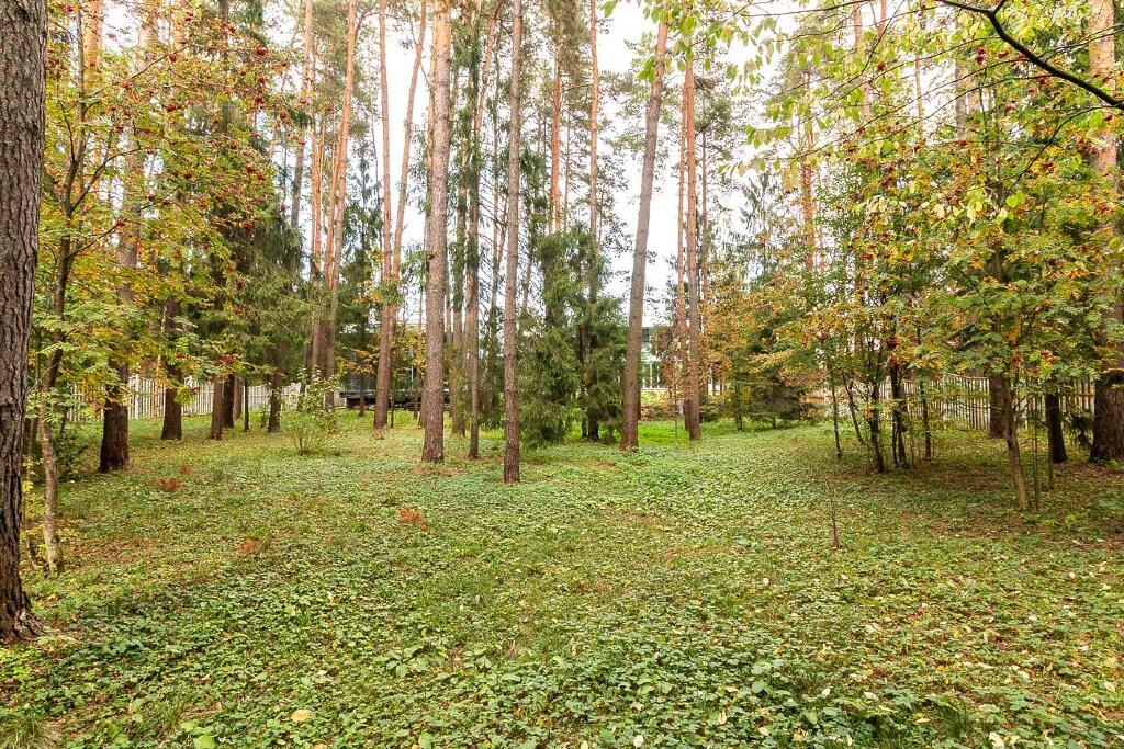 3-этажный коттедж 1 546 м² без отделки