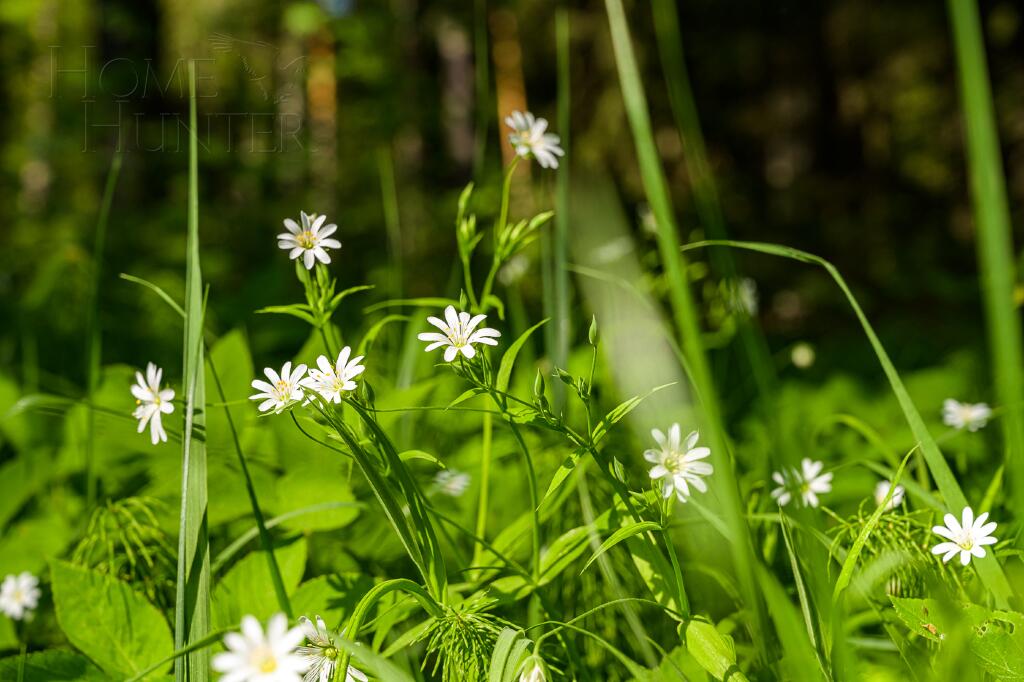 Участок 57.8 сот. в охраняемом поселке