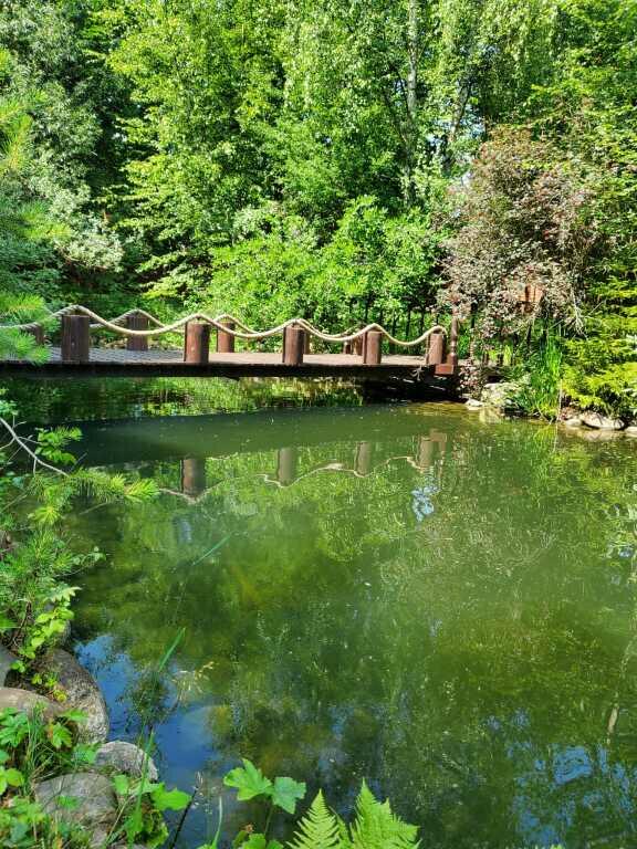 Участок 100 сот.