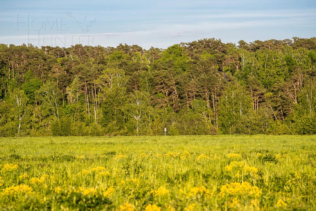 Участок 37 сот. в охраняемом поселке
