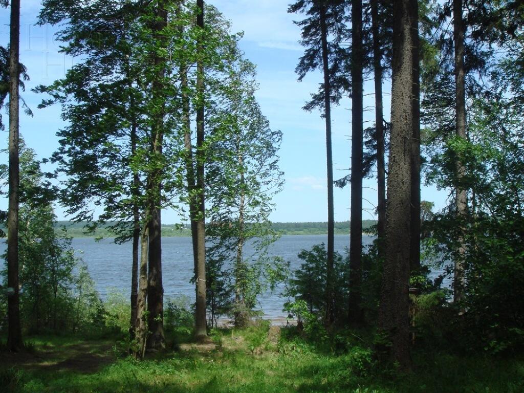 Участок 15 сот.