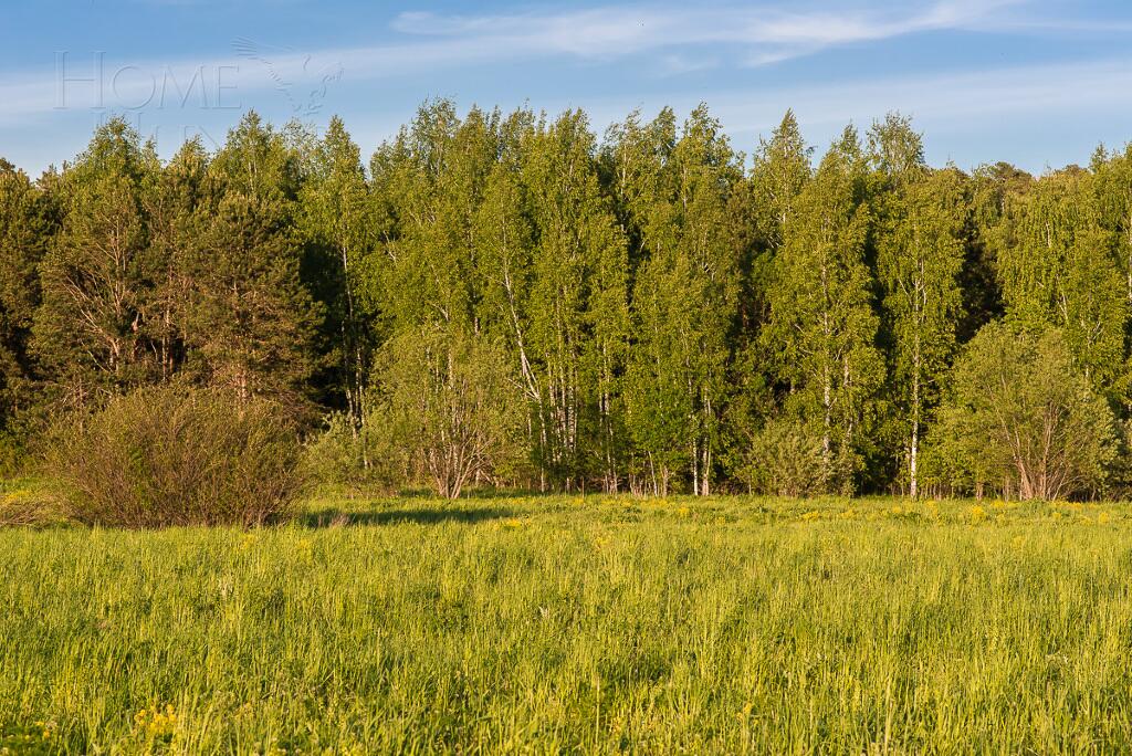 Участок 17.73 сот. в охраняемом поселке